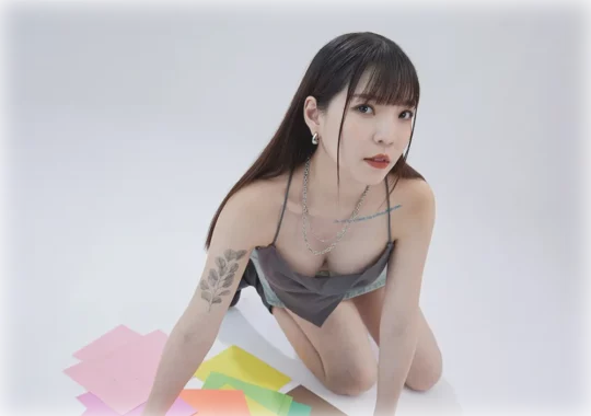 鏡中的完美篇章，我主導